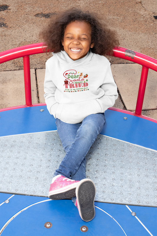 Christmas Youth Heavy Blend Hooded Sweatshirt, Funny Holiday Gift, Santa Claus Quote, Innocent Face, Xmas Jumper, Cozy Winter Pullover
